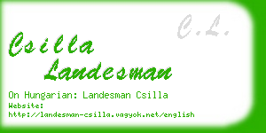 csilla landesman business card